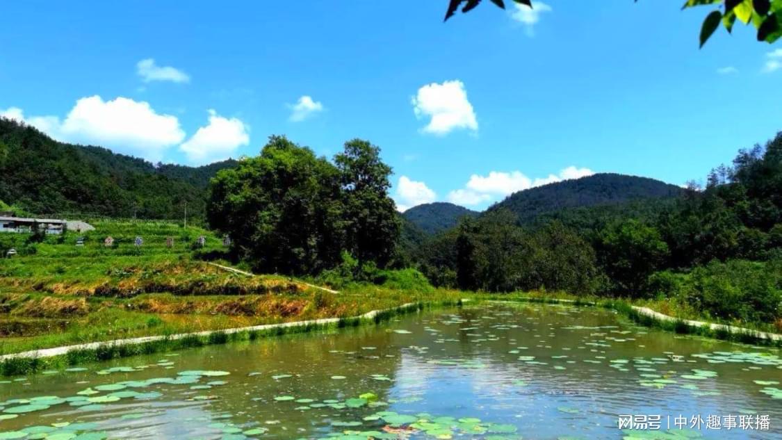 货车出事故后被哄抢货物全部追回